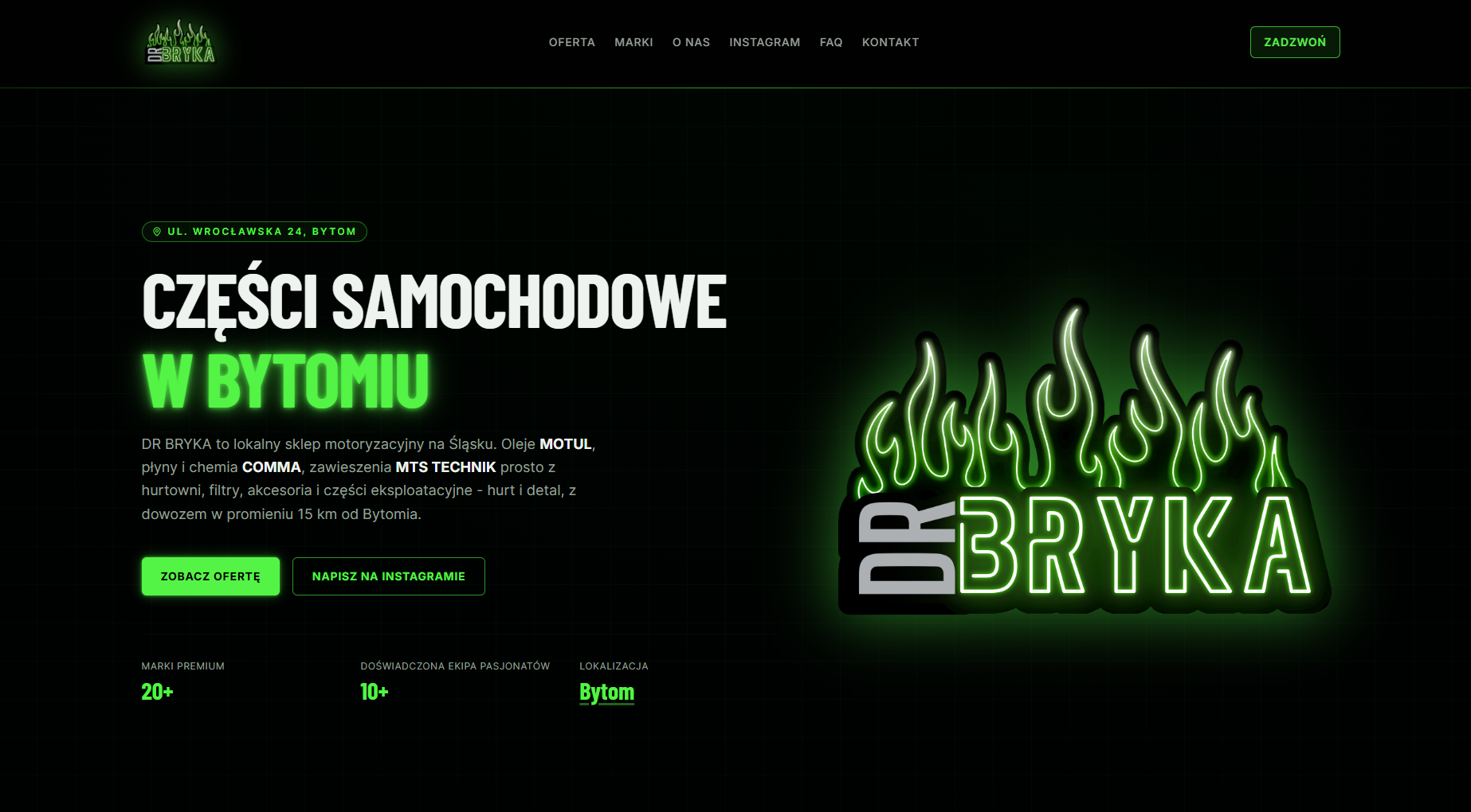 DR BRYKA website preview